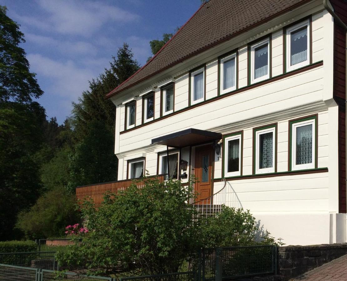 Apartamento Am Mühlenberg Altenau  Exterior foto