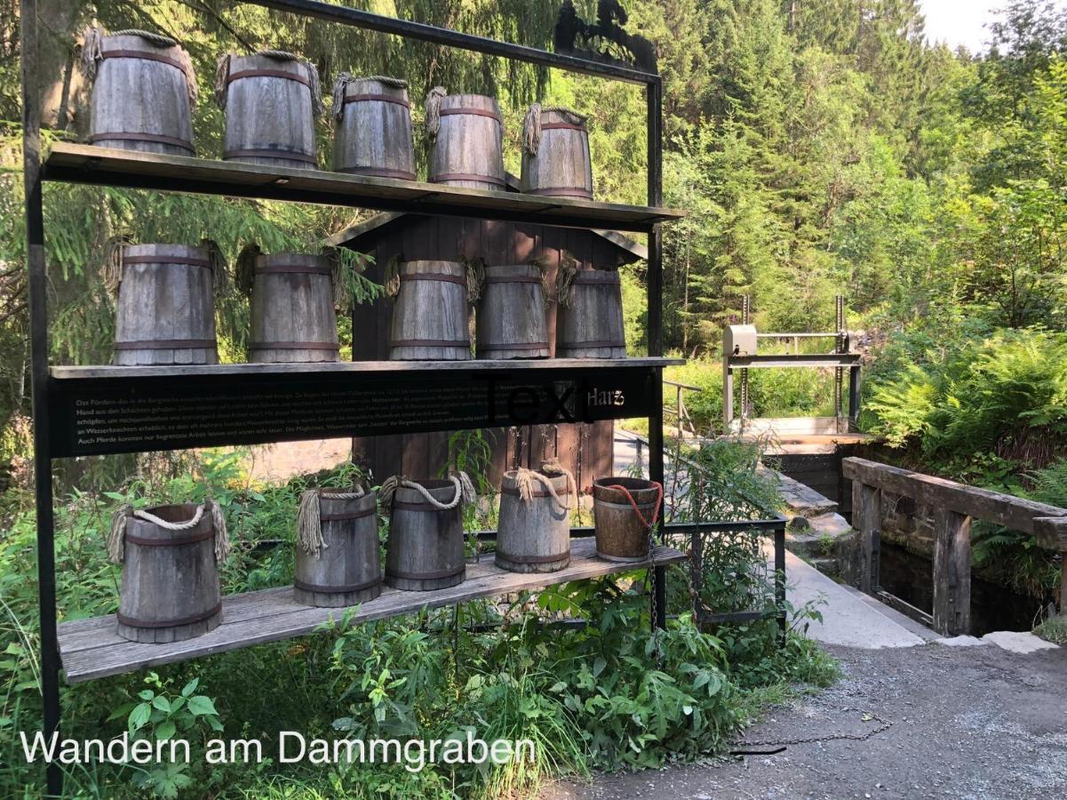 Apartamento Am Mühlenberg Altenau  Exterior foto