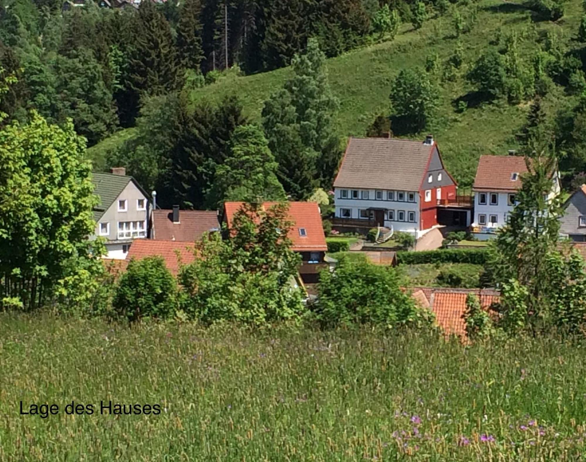 Apartamento Am Mühlenberg Altenau  Exterior foto